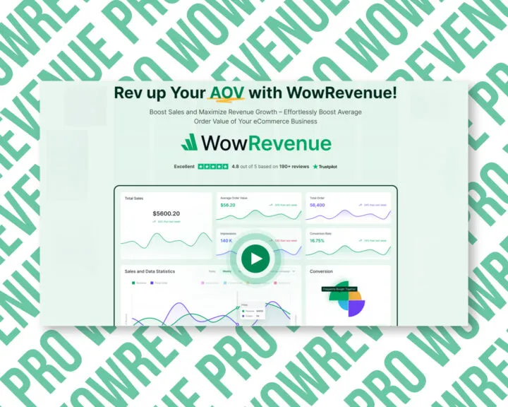 Boost sales with WowRevenue ecommerce analytics.