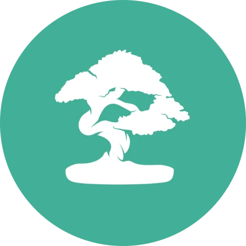 Silhouette of bonsai tree on green circle